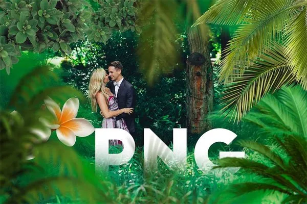 65 Tropic Tree Branches Photo Overlays