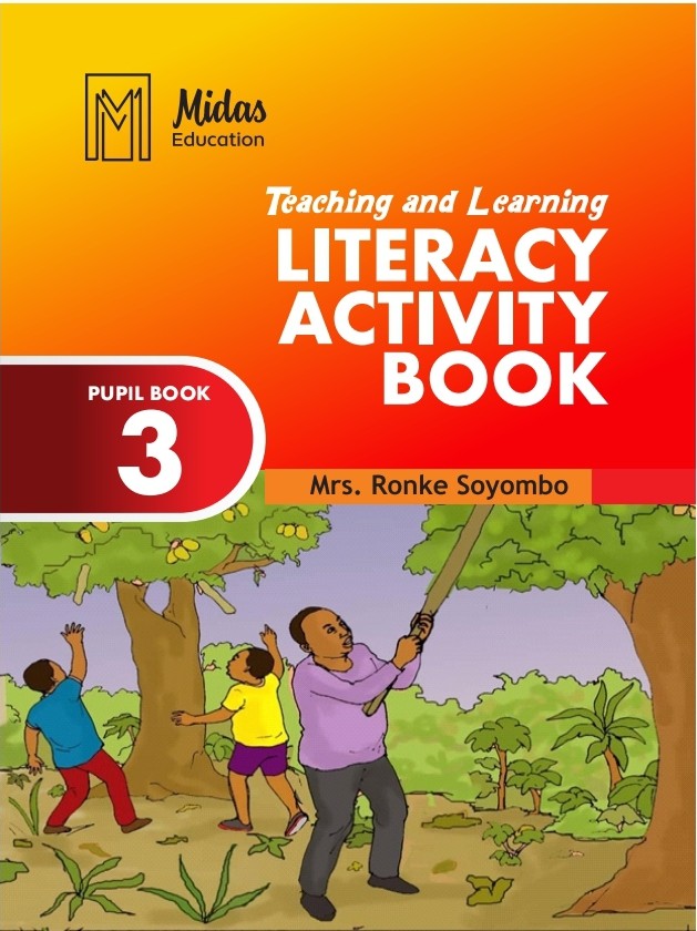 TEACHING AND LEARNING LITERACY (ACTIVITY BOOK 3)