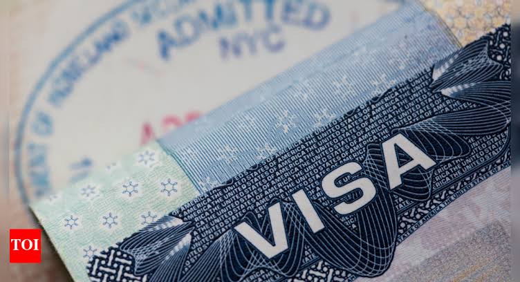 COMPREHENSIVE VISA APPLICATION