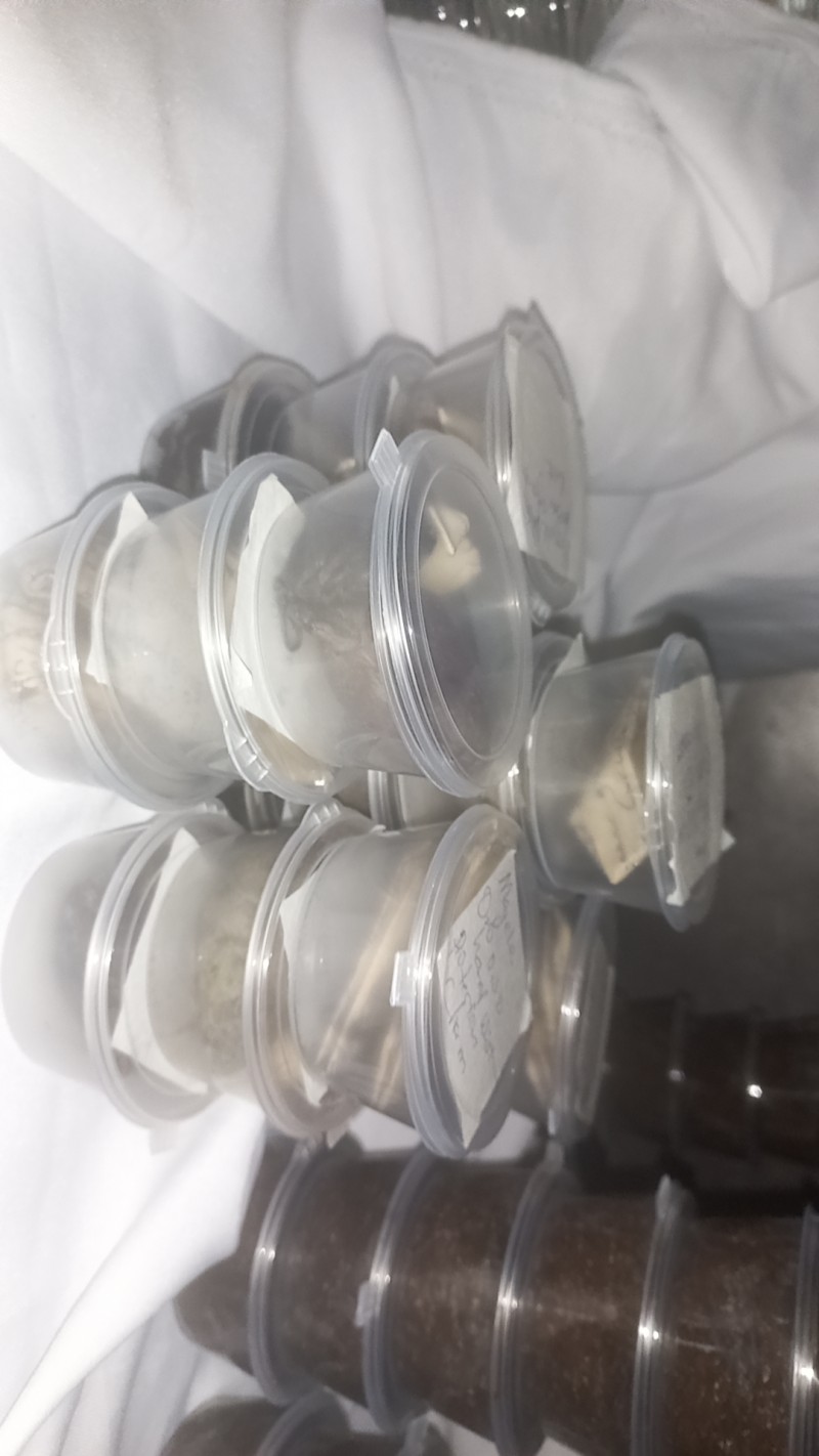 Antidote for poison