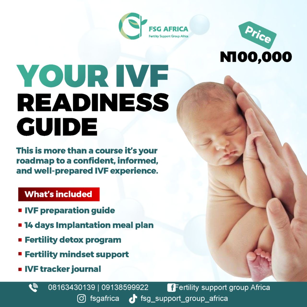 The ivf blueprint