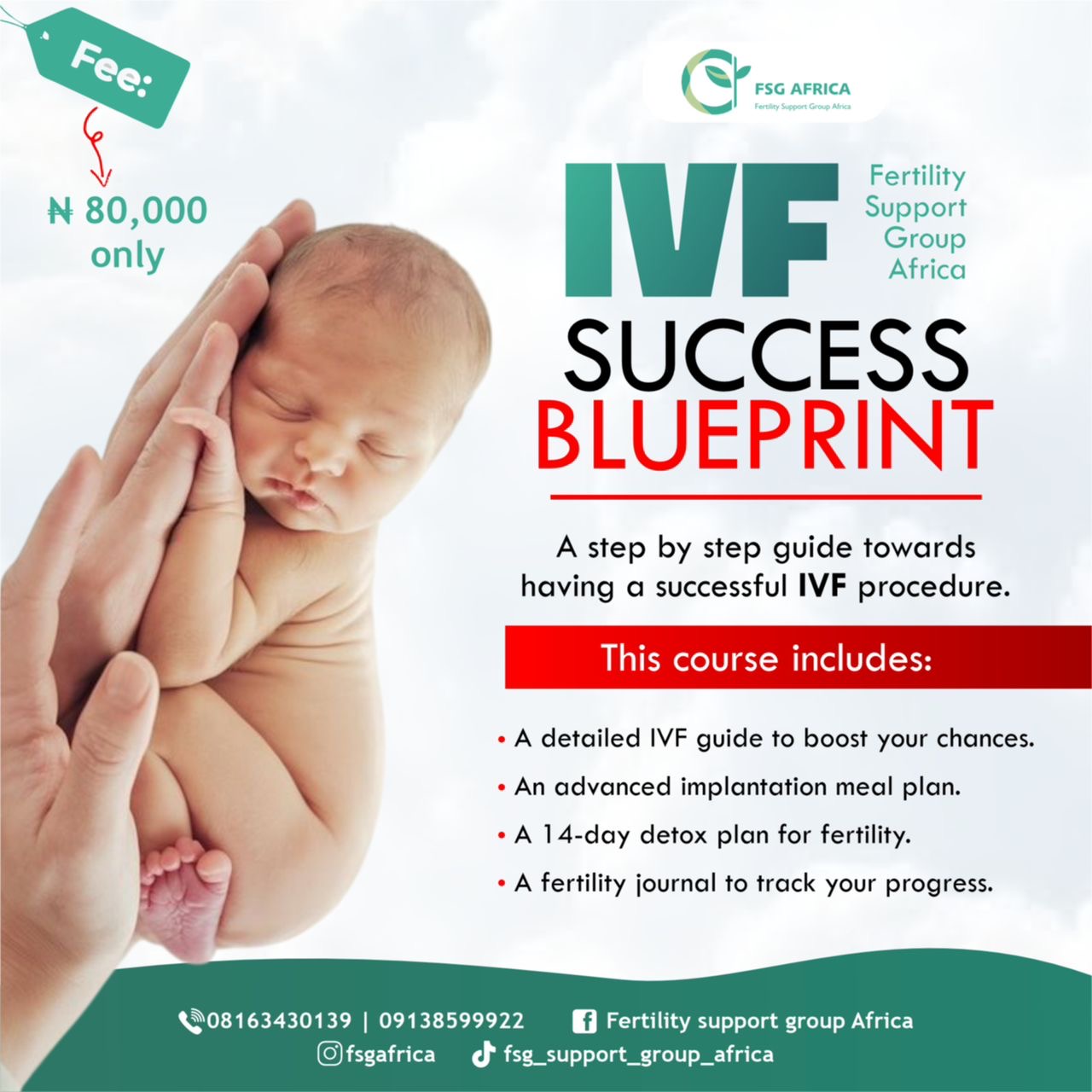 The ivf preparation program