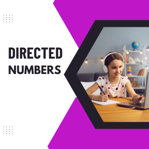 MathsTek' Directed Numbers