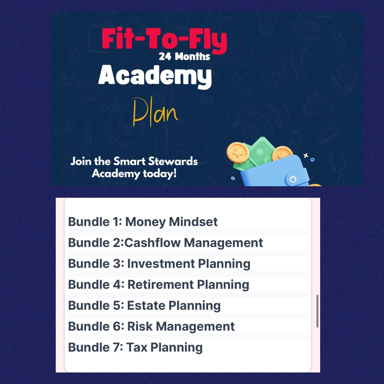 Fit To Fly Financial Plan