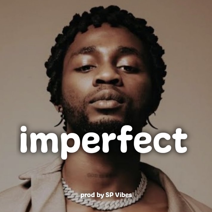 IMPERFECT - Asake x Omah Lay x Rema Type Beat | Amapiano Instrumental 2025