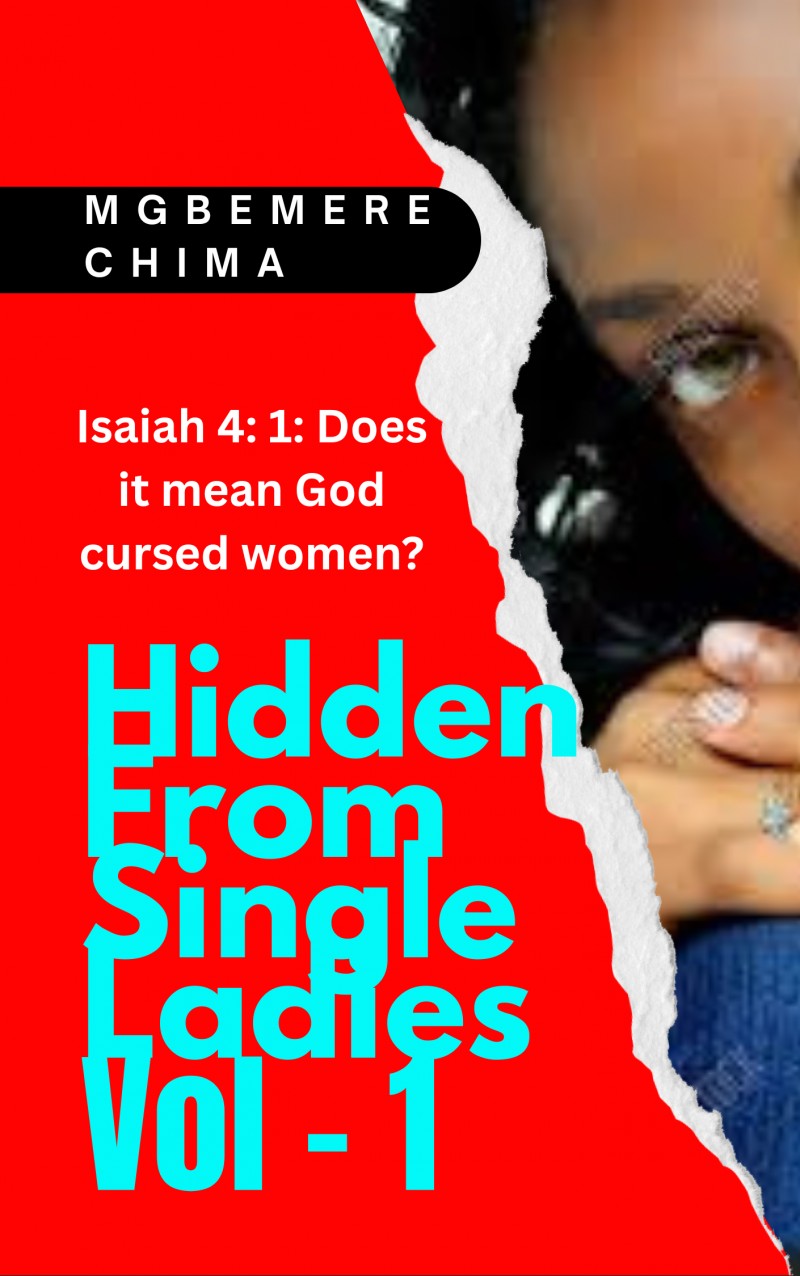 Hidden From Single Ladies - Vol 1