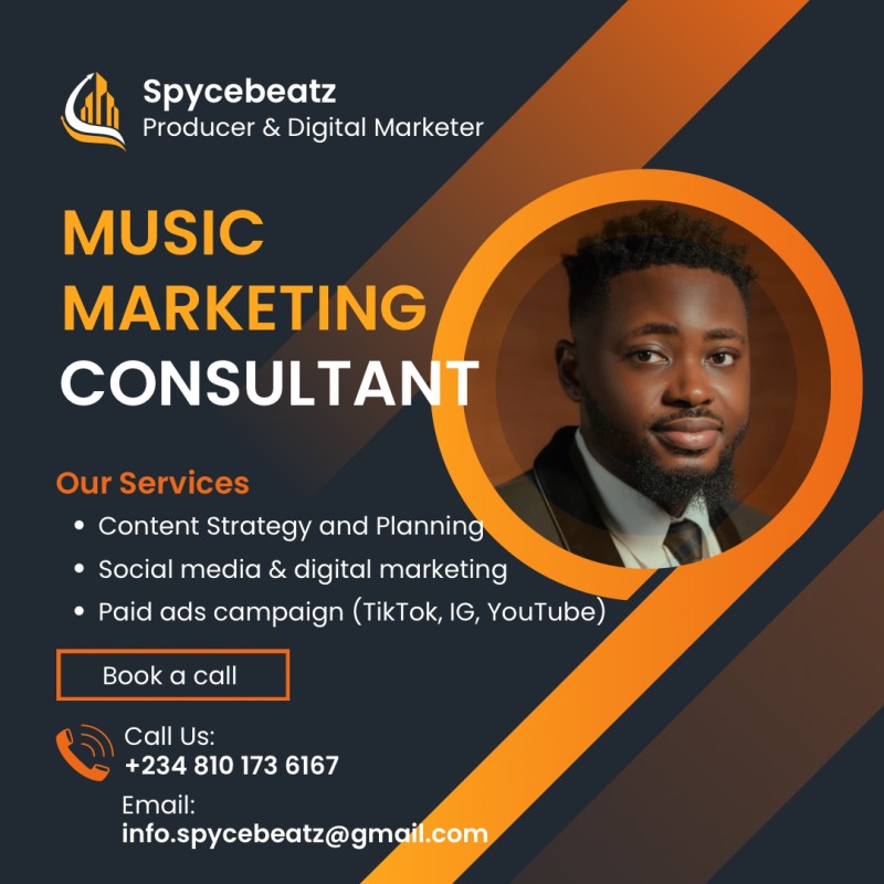 Music Marketing Consultation with Spyce