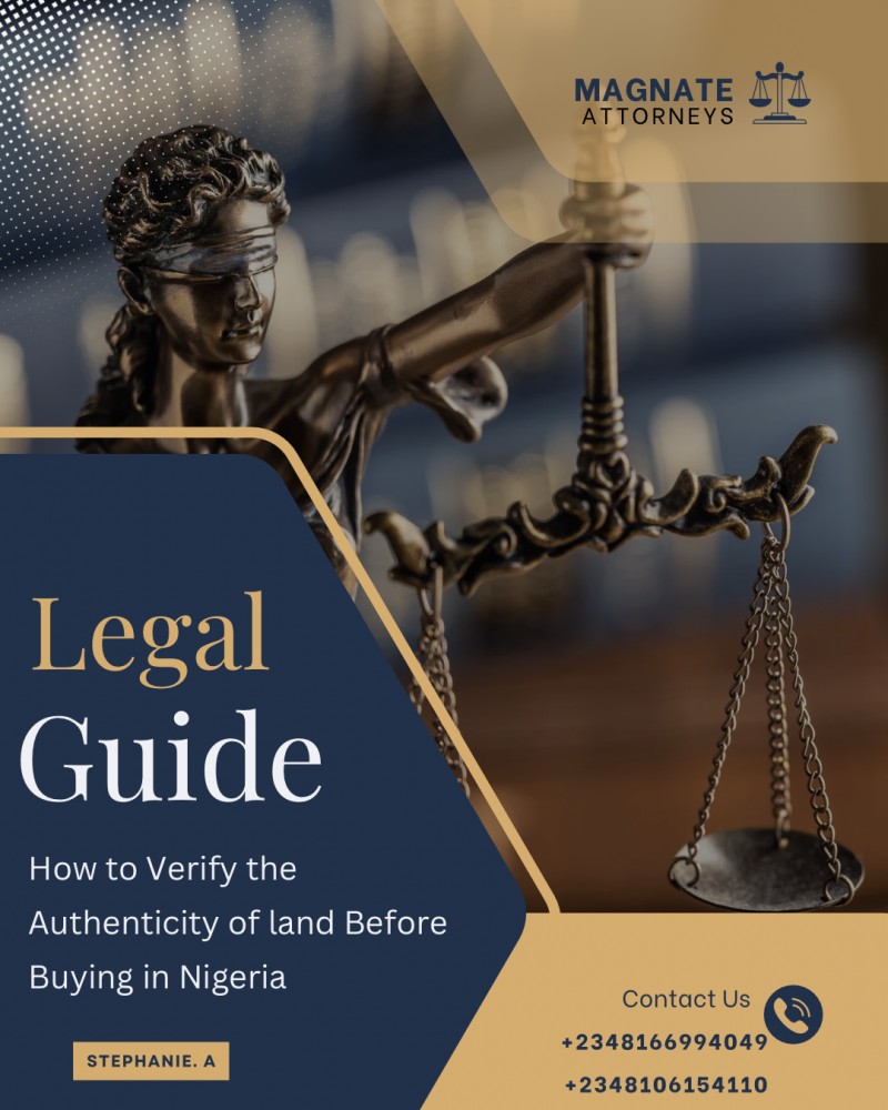 Legal Guide: How to Verify Land Before Buying in Nigeria