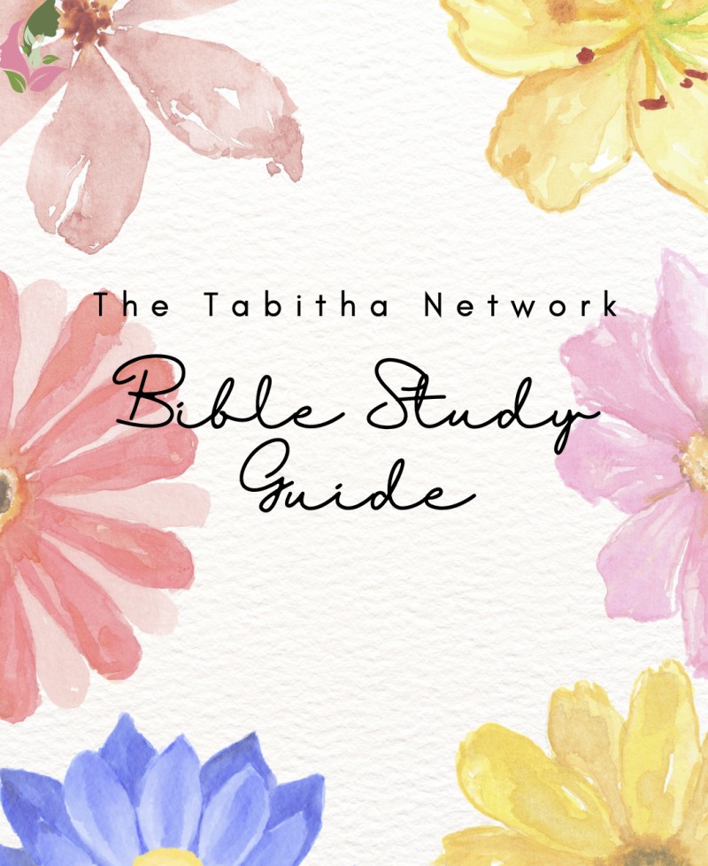 November Bible Study Guide