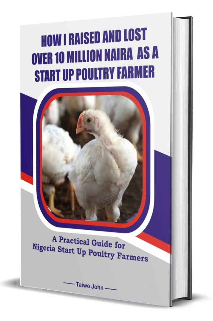 How I raised and Lost over 10 miiion Naira as a Nigeria start up Poultry Farmer