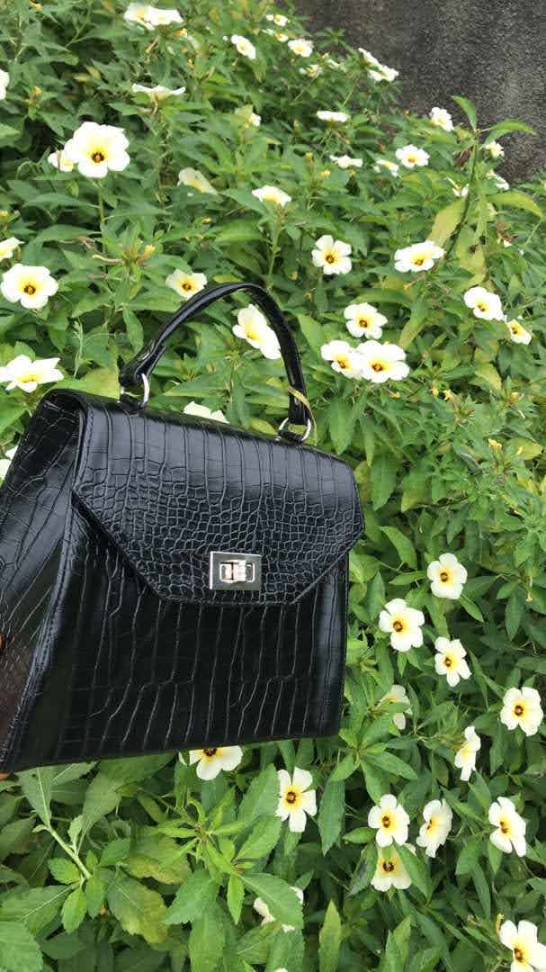 Bag Ada