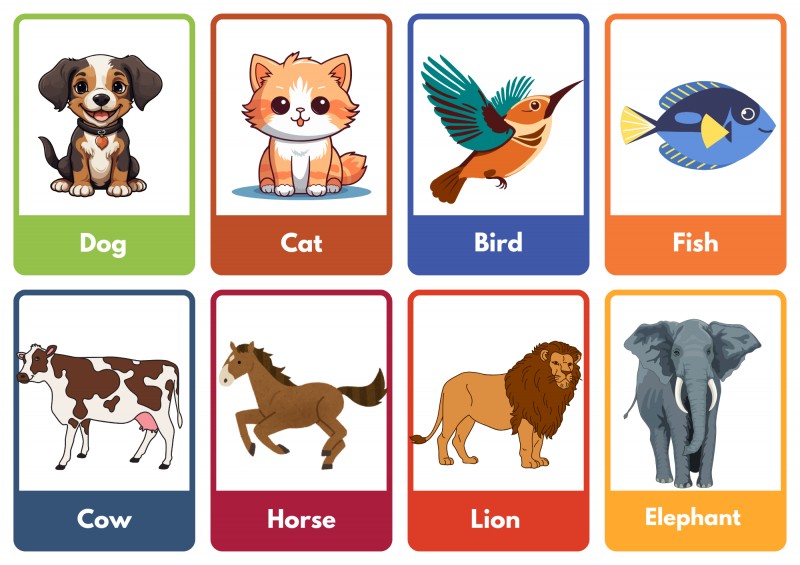 Animal Flashcard (56 Pictures)