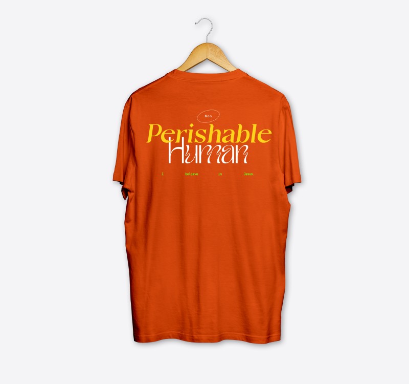 NON-PERISHABLE HUMAN ORANGE T-SHIRT