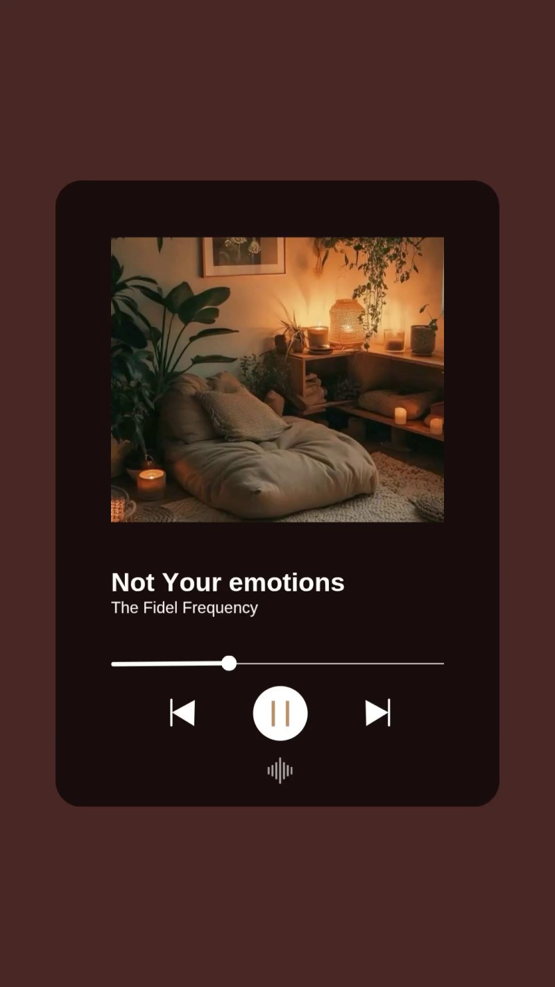 Not Your Emotions.Mp3