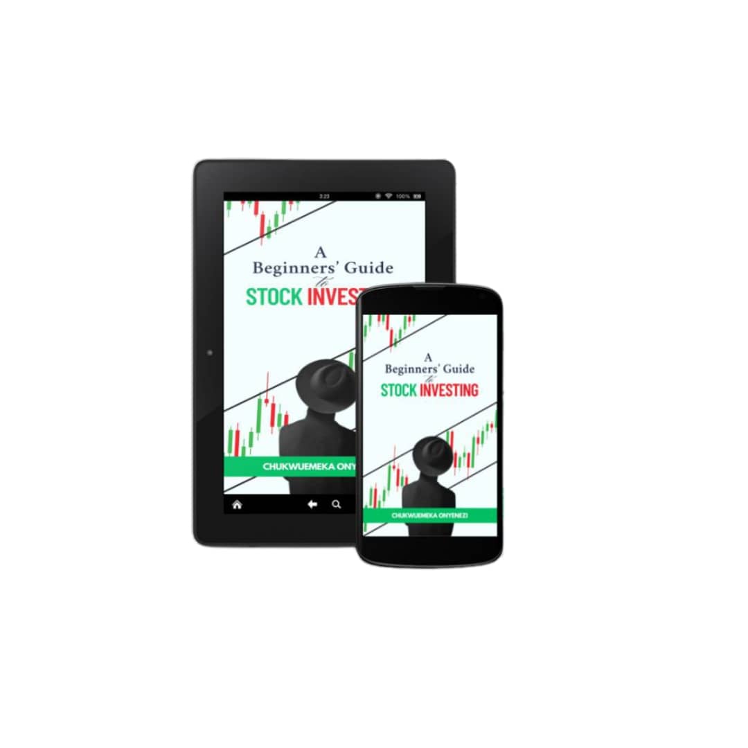 Buy A BEGINNER'S GUIDE TO STOCK INVESTING (eBook) by The Naira Academy ...