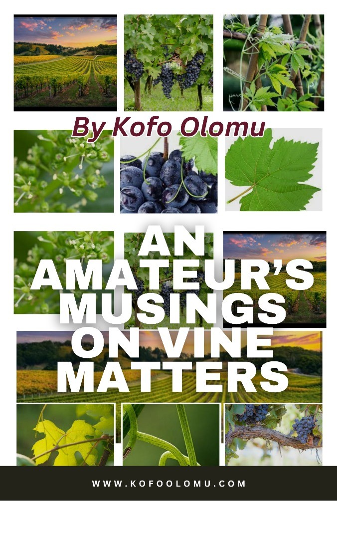 AN AMATEUR'S MUSINGS ON VINE MATTERS