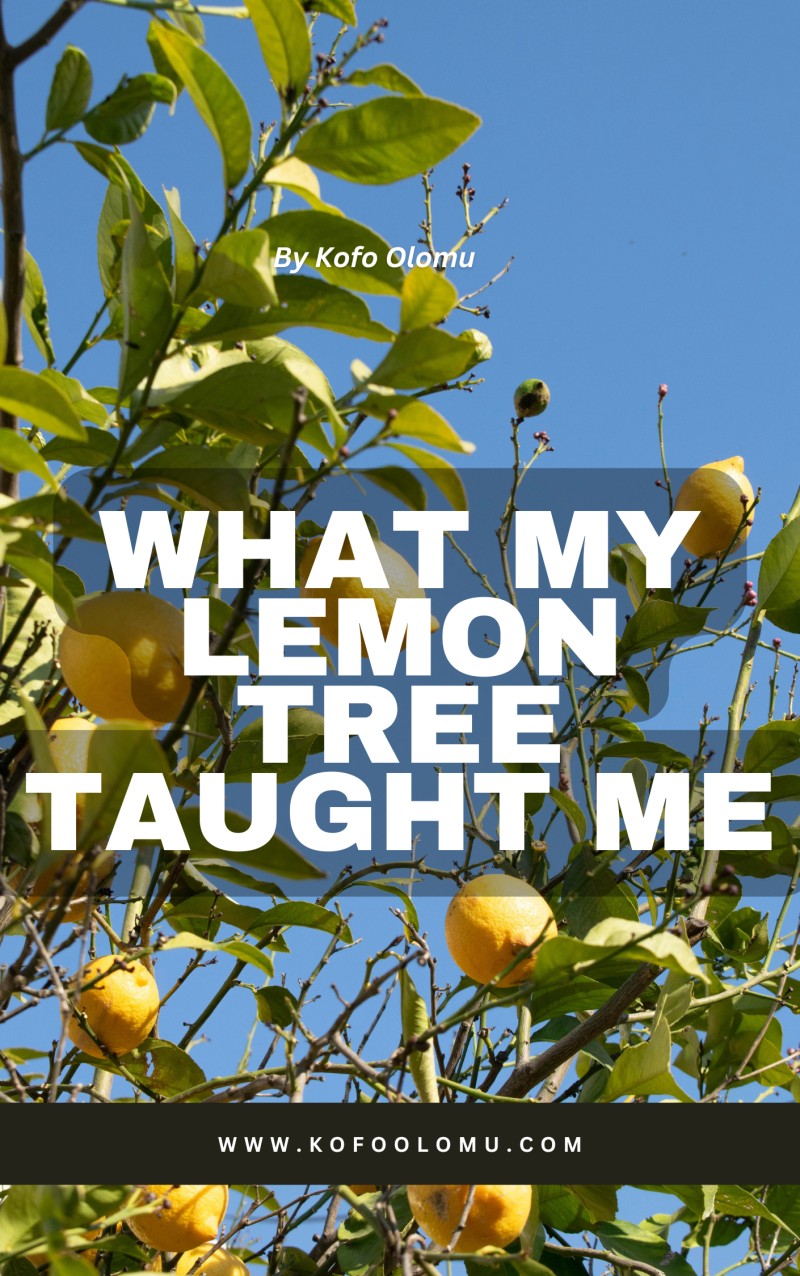 What My Lemon Tree Taught Me