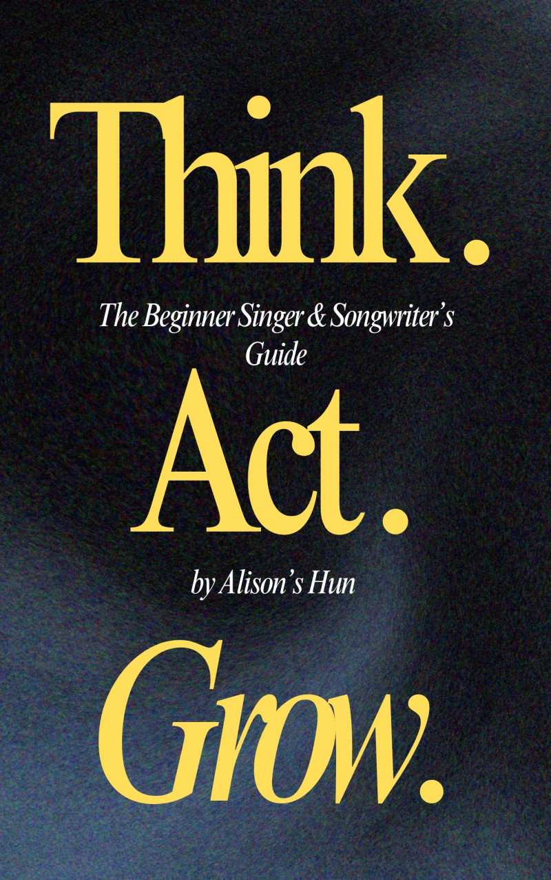 The Beginner Singer & Songwriter's Guide