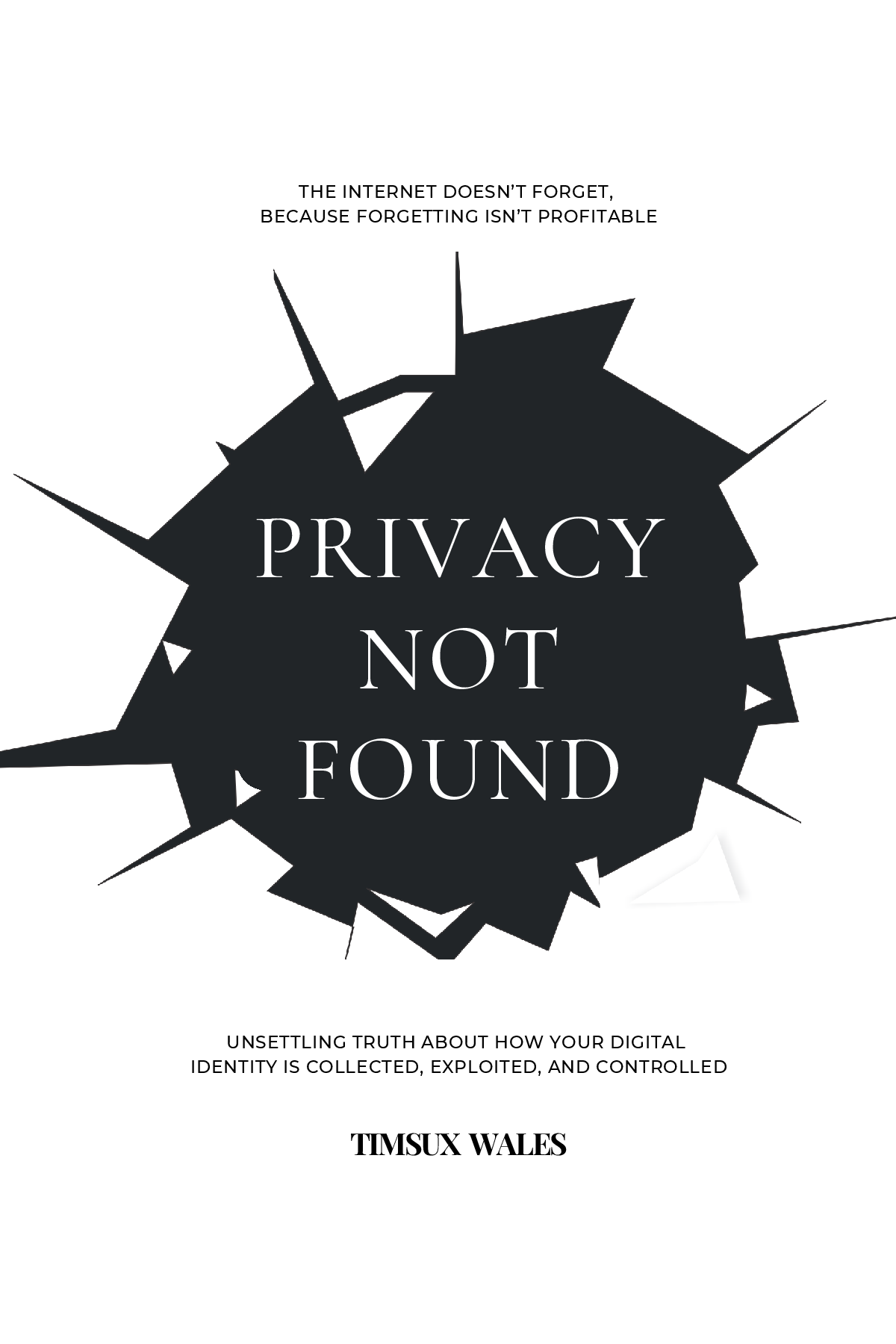 Privacy Not Found - Ebook