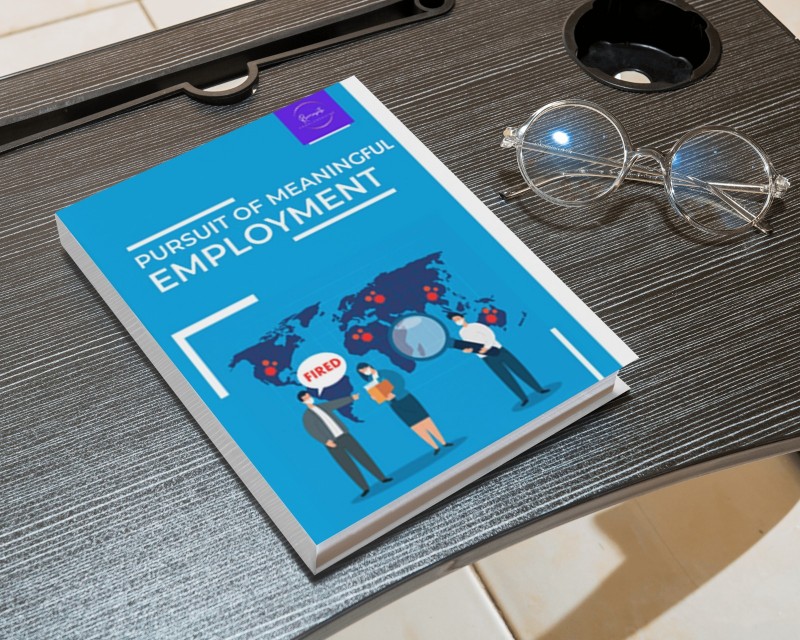Pursuit of Meaningful Employment (The Practical Job Seeker's Guide: Insider Strategies That Actually Work)