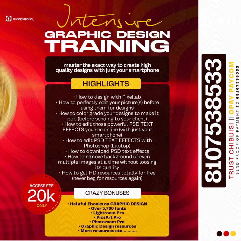 Buy INTENSIVE GRAPHIC DESIGN TRAINING by Trust Chibuisi on Selar