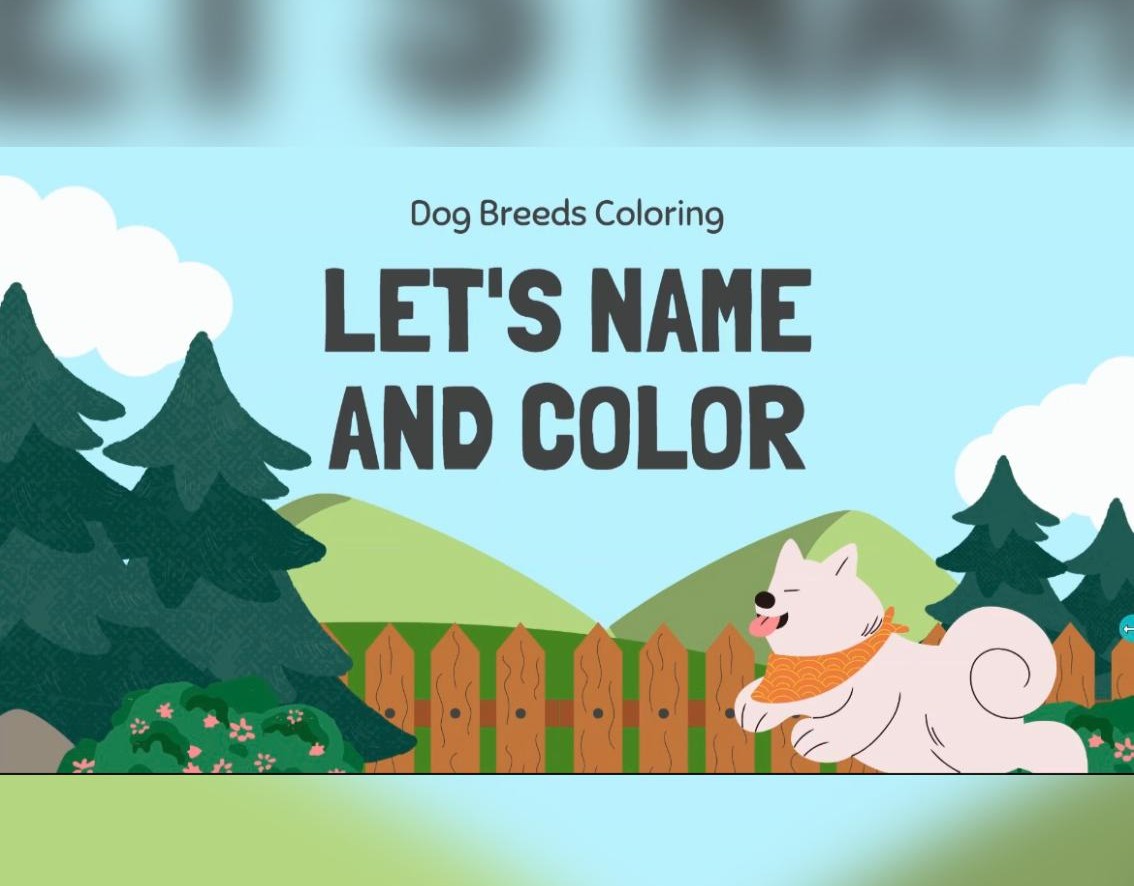 COLORING BOOK