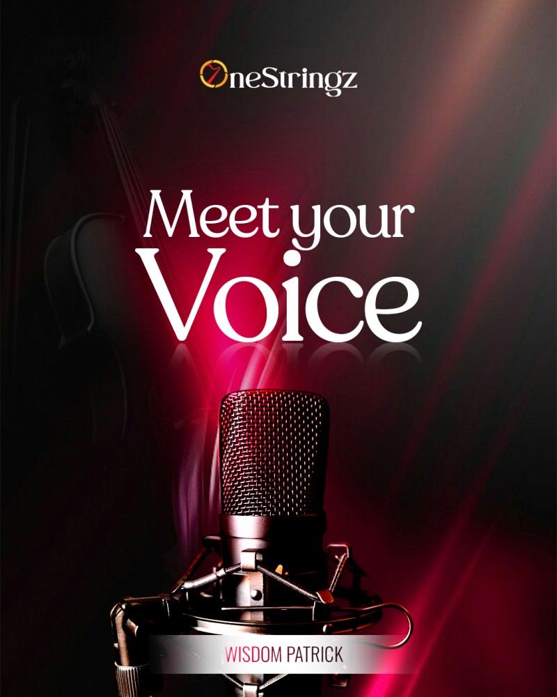 MEET YOUR VOICE