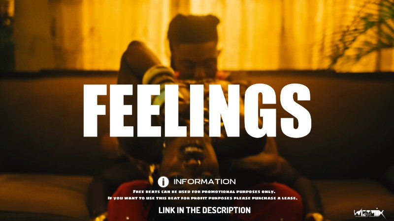 FEELINGS - Emotional Afrobeat Type Beat 2025 F#m 98BPM WAV
