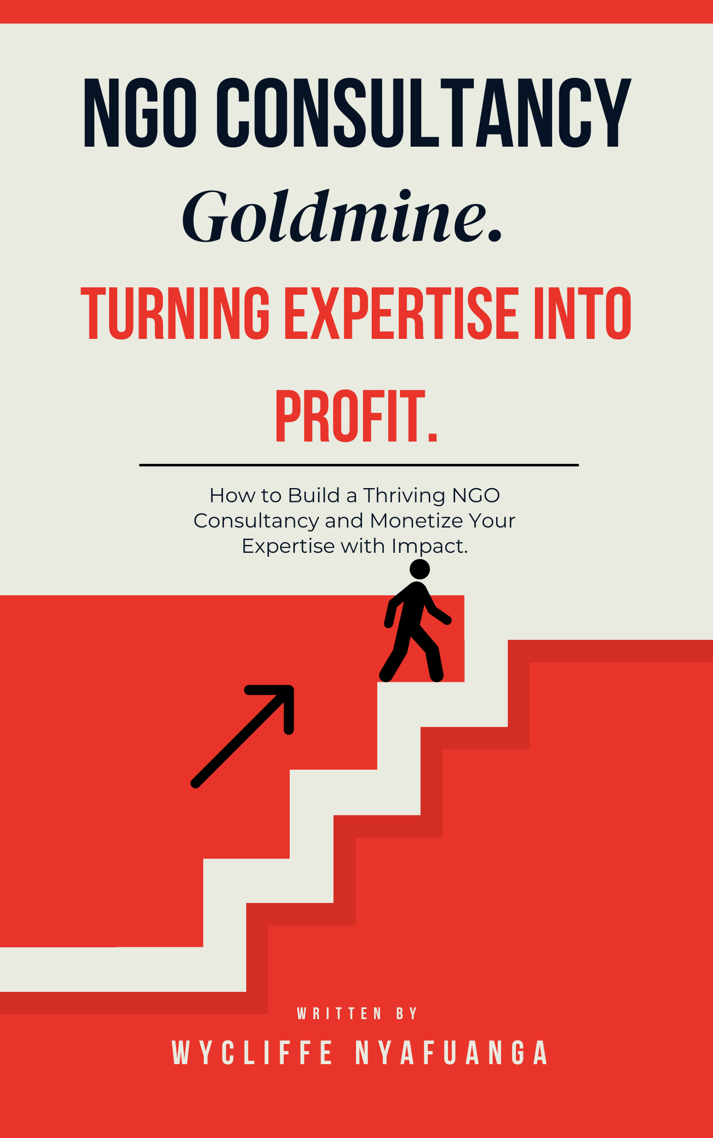 NGO Consultancy Goldmine: Turning Expertise into Profit
