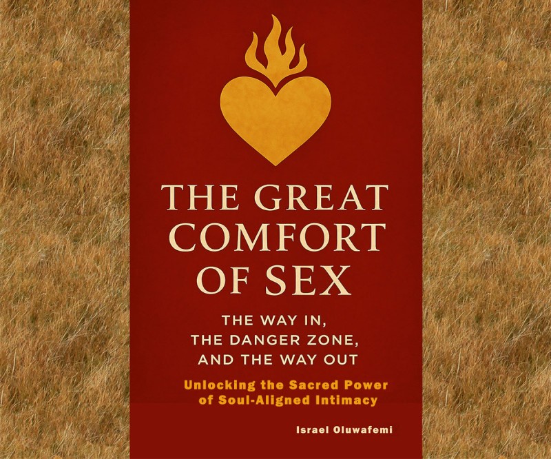 THE GREAT COMFORT OF SEX: The Way In, The Danger Zone and The Way Out (Unlocking the Sacred Power of Soul-Aligned Intimacy)