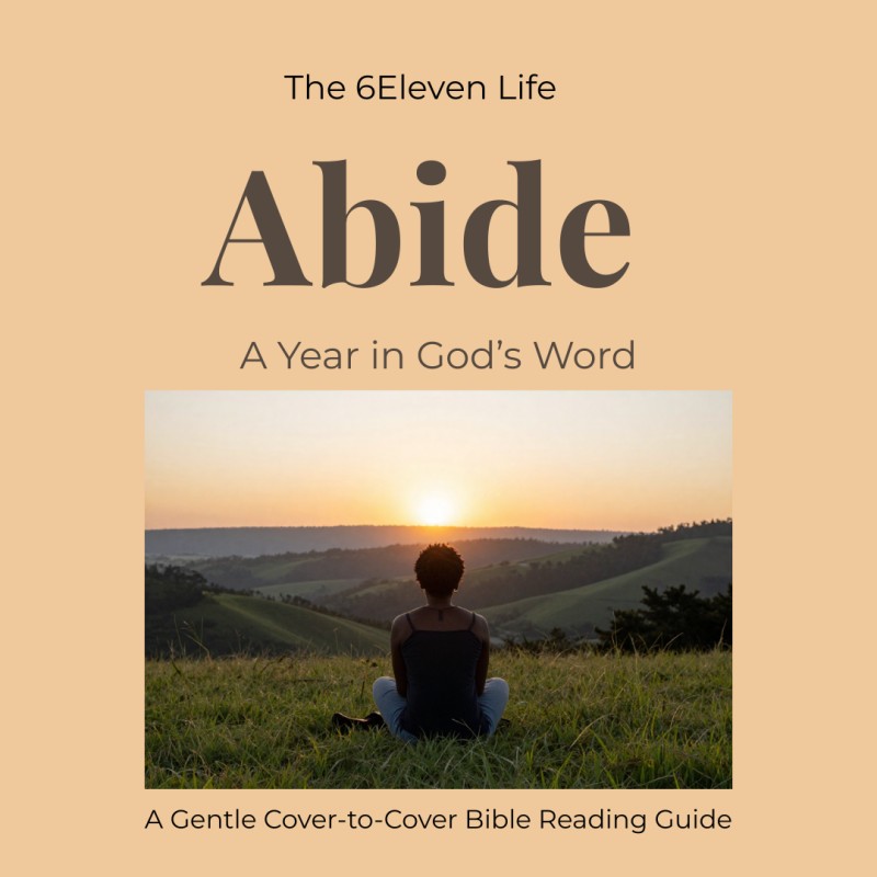 Abide: A Year in God's Word (Bible Study Guide)