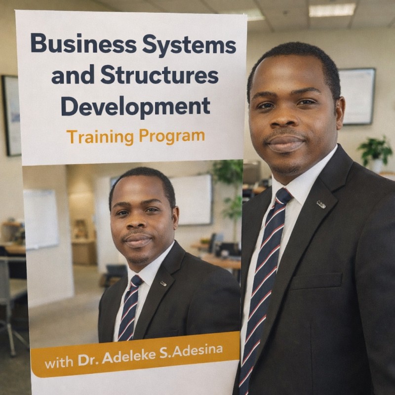 Business Systems and Structures Development Training