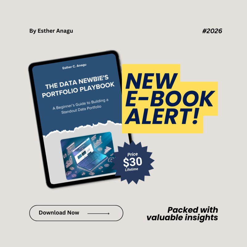 The Data Newbie's Portfolio Playbook: Complete Bundle