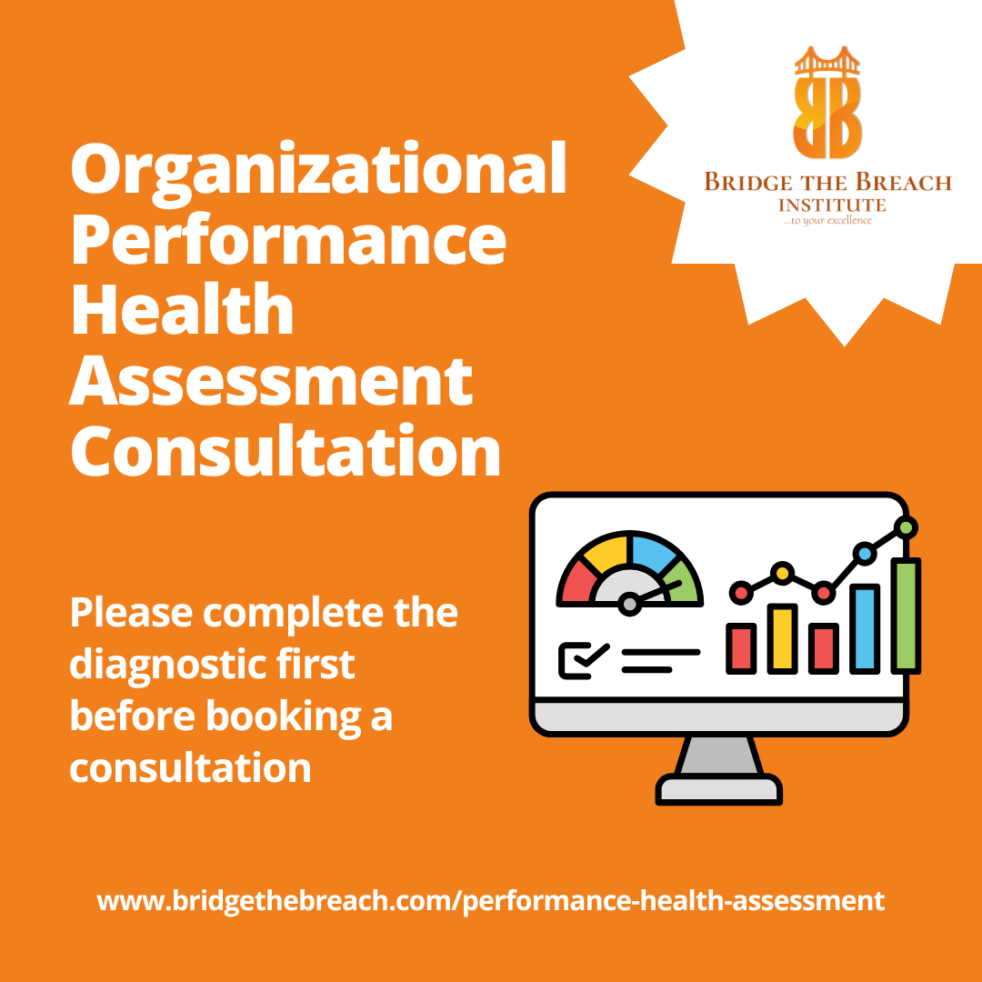 Diagnostic Consultation Call - Organizational Performance Health Assessment