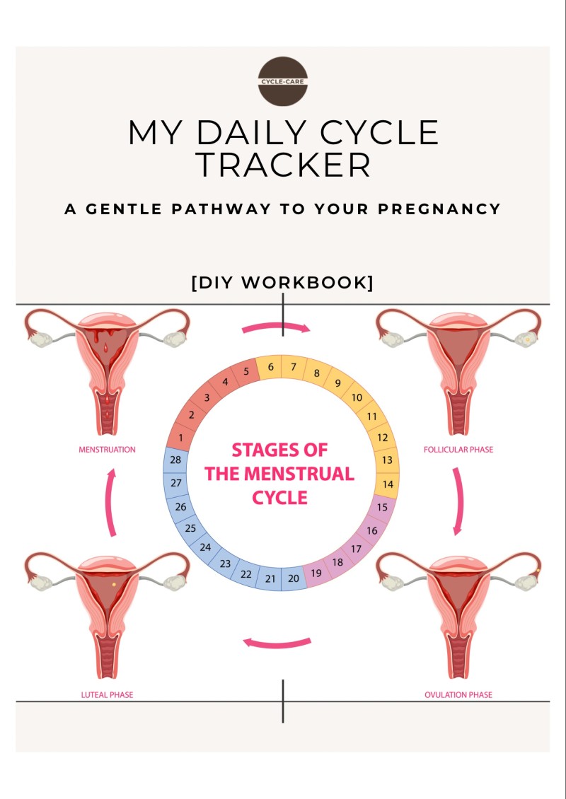 My Daily Cycle Tracker Workbook
