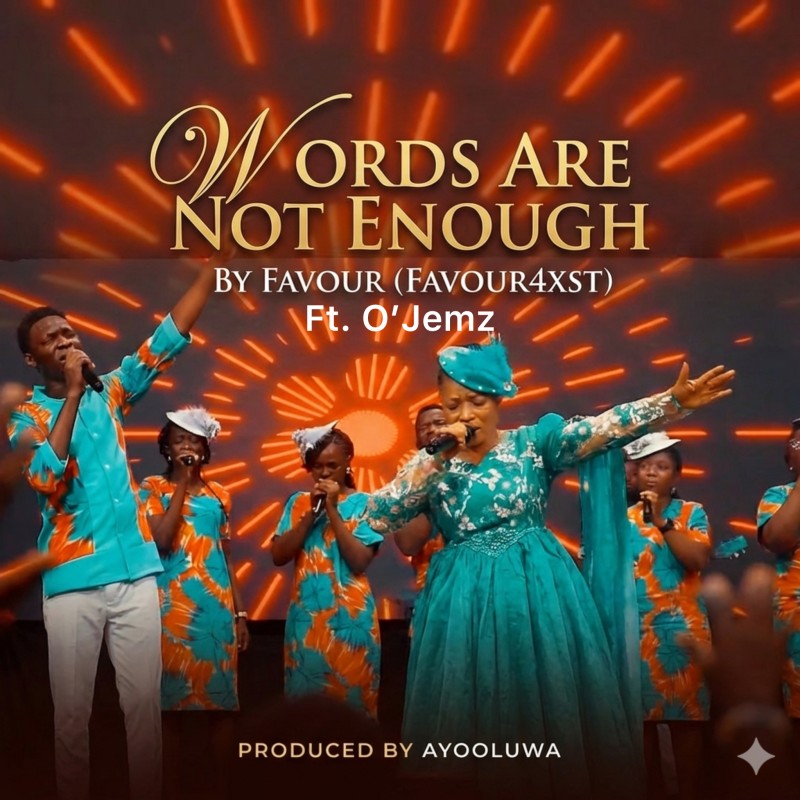 Words Are Not Enough by Favour
