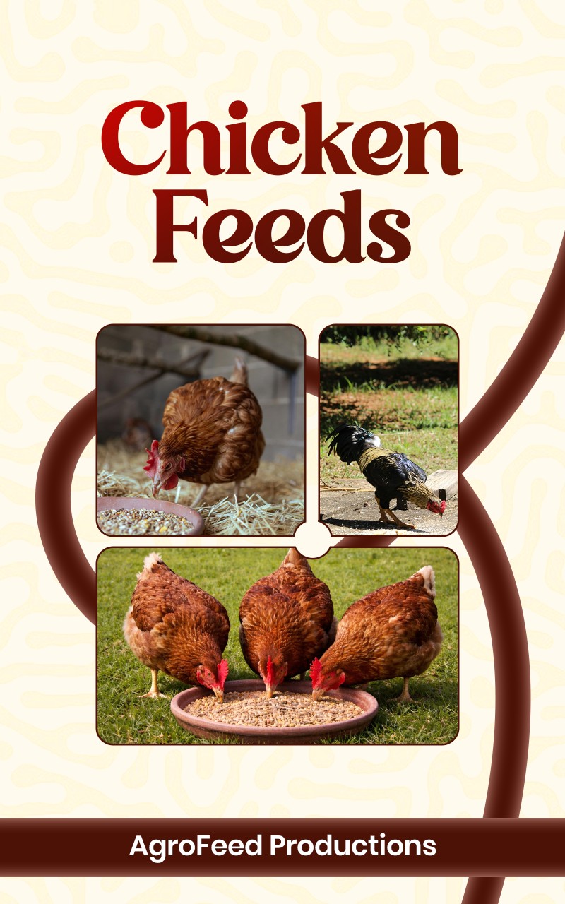 Chicken Feed