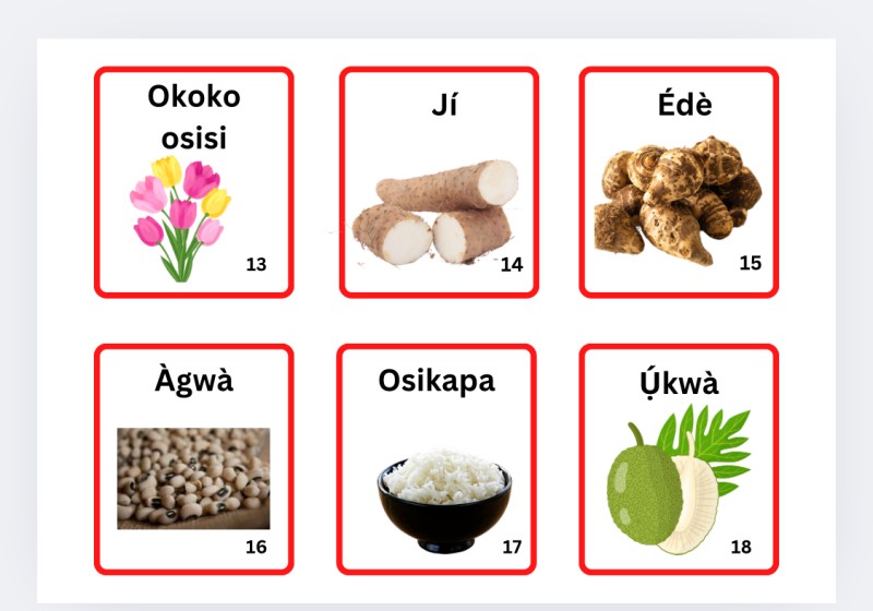 100 Igbo E-Flashcards - Digital set (Instant Downlaod)