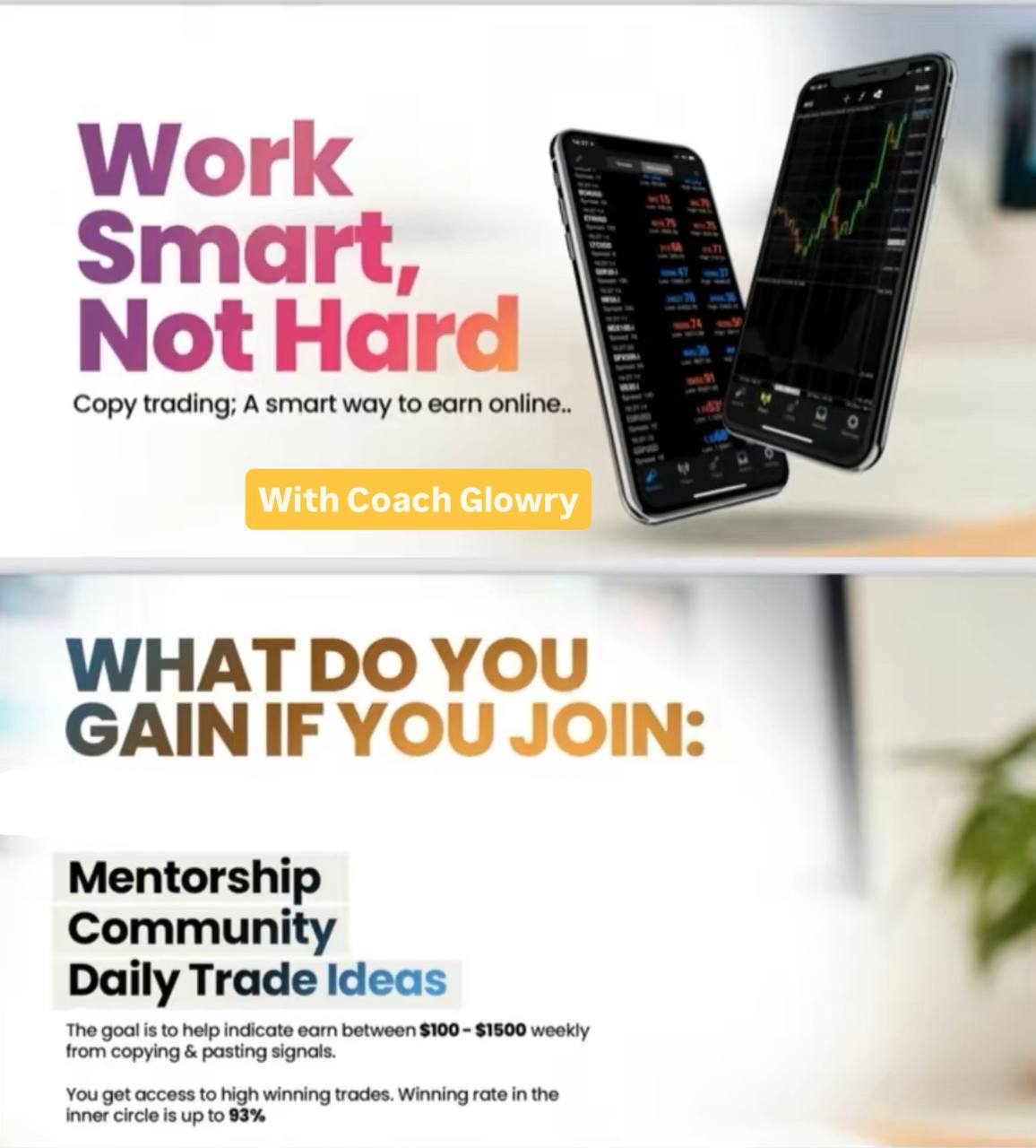 PROFITABLE TRADERS VIP