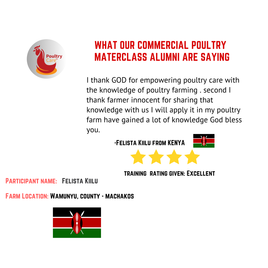 Customer review 2