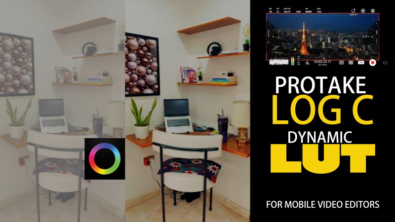 DYNAMIC PROTAKE LOG C LUT
