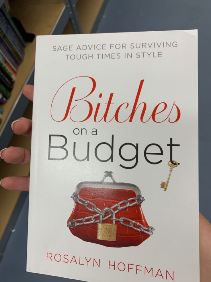 Bitches On a budget by Rosalyn Hoffman