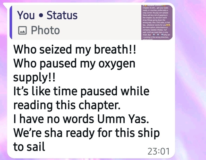 Customer review 3