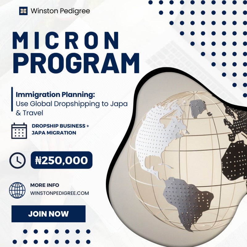 Micron Program