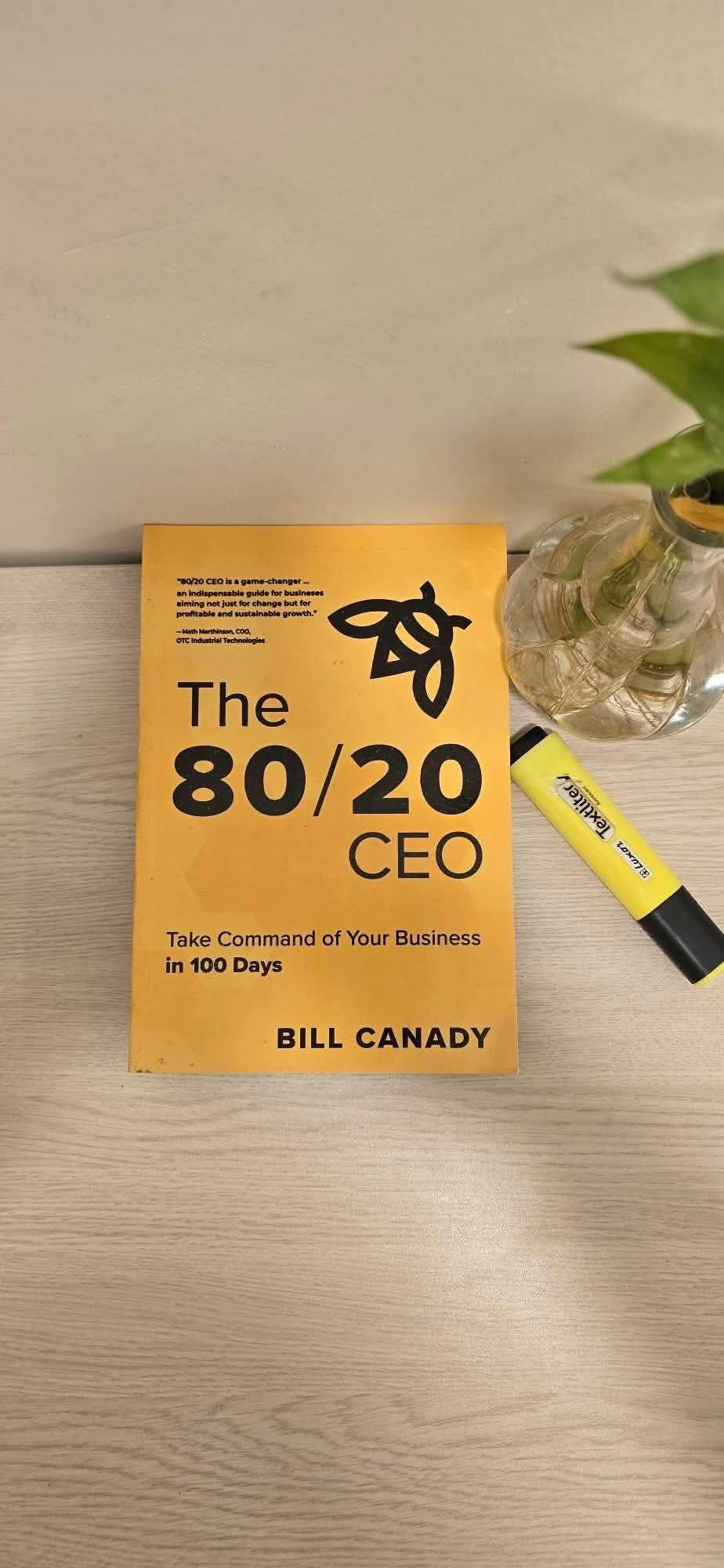 The 80/20 CEO  -PDF