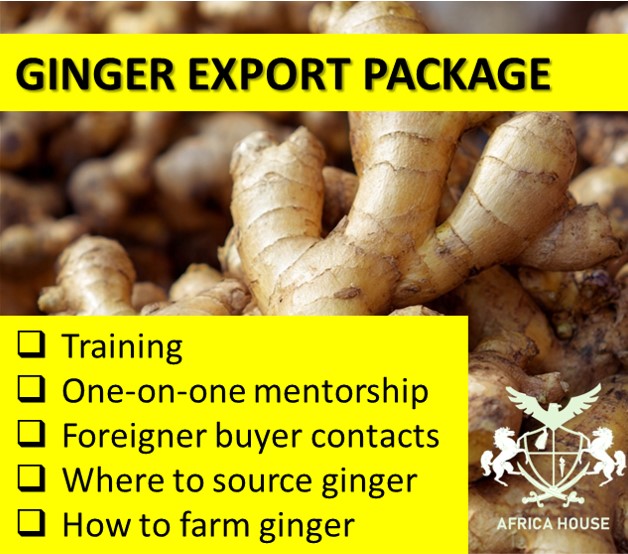 GINGER EXPORT PACKAGE