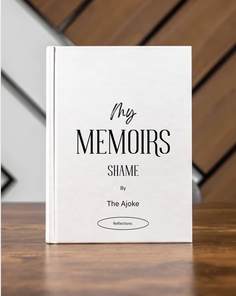 The Memoirs of the Ajoke; Shame
