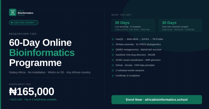 Africa Bioinformatics School (Professional Tier)