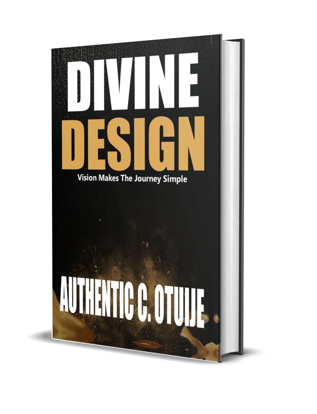 DIVINE DESIGN (vision makes the journey simple)