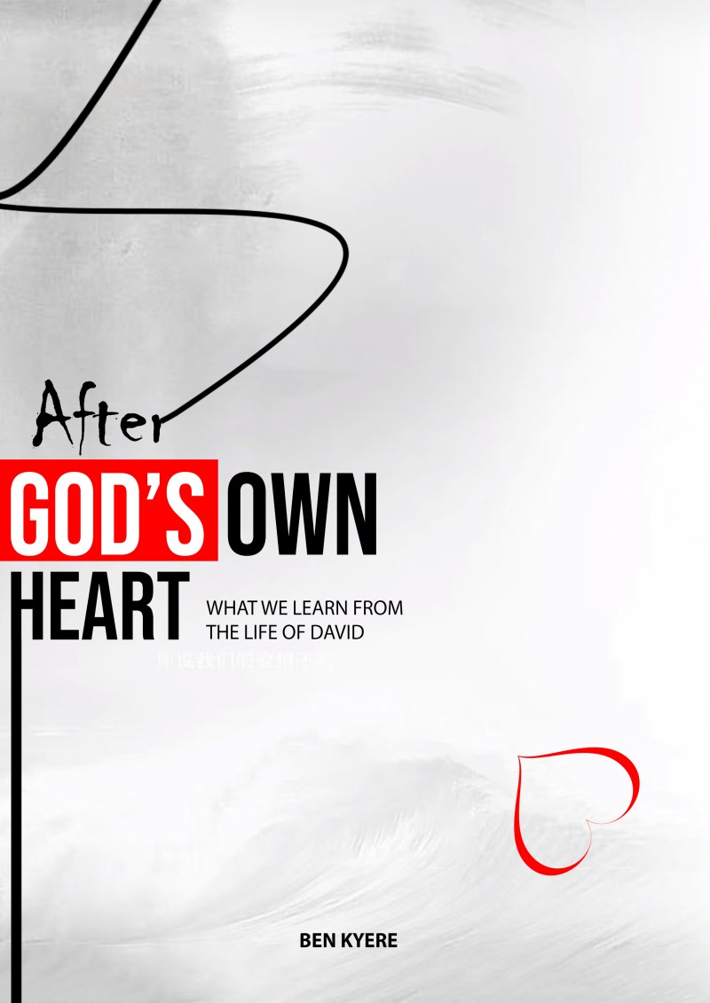 After God's Own Heart: What We Learn from the Life of David